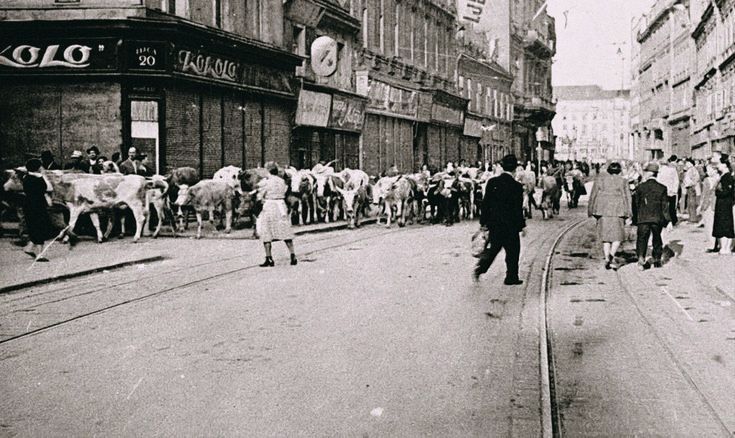 Ilica 1945. godine (foto Stjepan Cerjan)